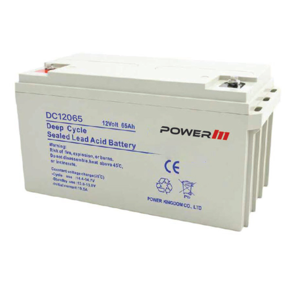 DC12065 - 12V65Ah Sealed Lead Acid Battery